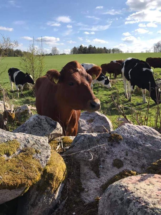 Sjoetorps Saeteris Bed & Breakfast Flygeln Larv Eksteriør billede
