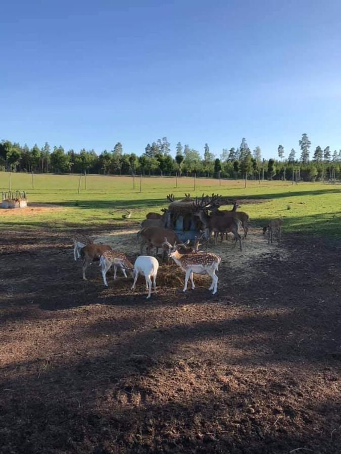 Sjoetorps Saeteris Bed & Breakfast Flygeln Larv Eksteriør billede