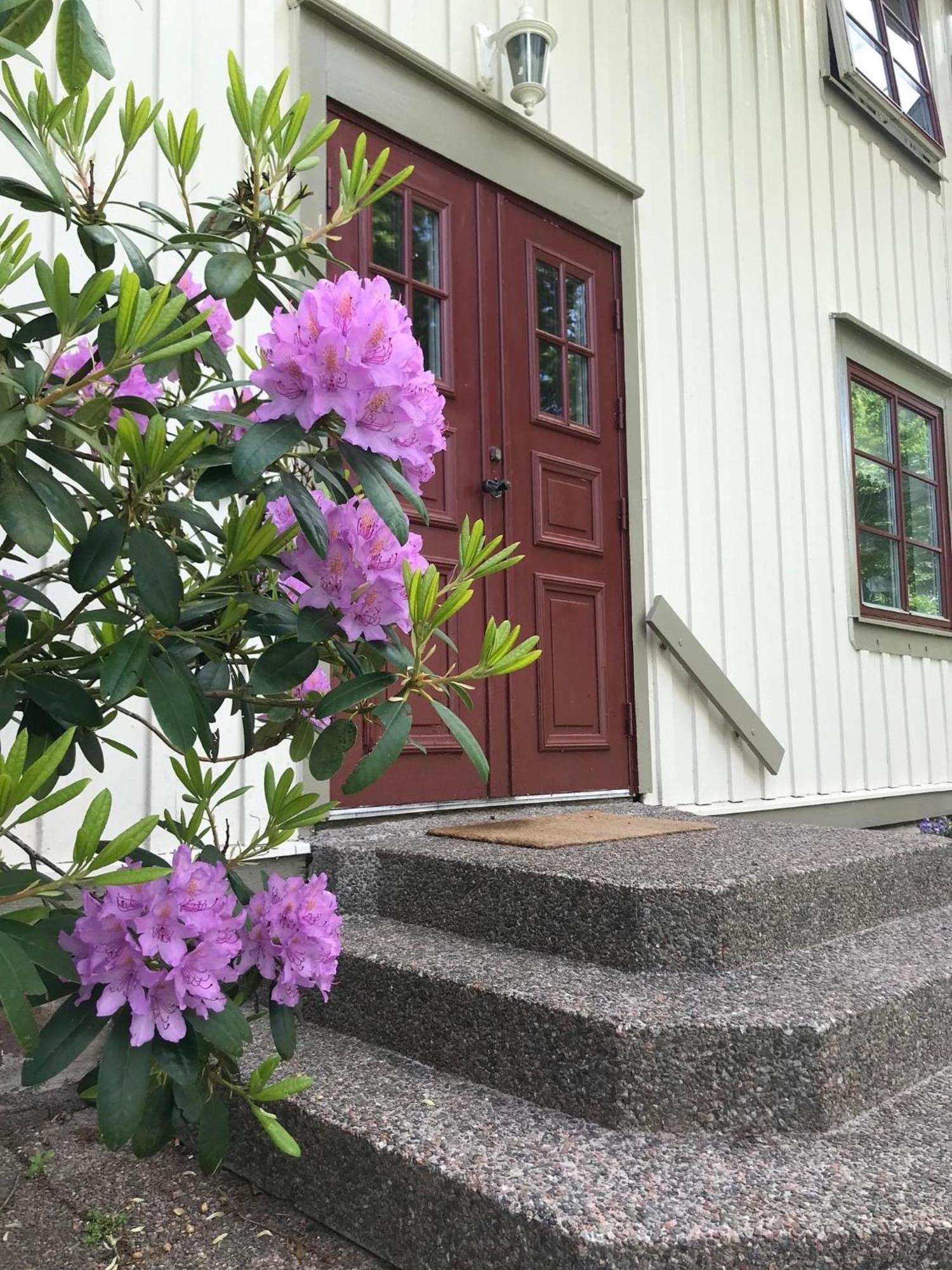 Sjoetorps Saeteris Bed & Breakfast Flygeln Larv Eksteriør billede